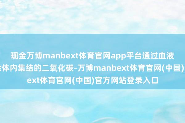 现金万博manbext体育官网app平台通过血液净化本事胜利根除体内集结的二氧化碳-万博manbext体育官网(中国)官方网站登录入口