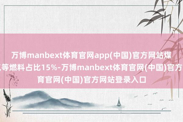 万博manbext体育官网app(中国)官方网站煤炭以及自然气等燃料占比15%-万博manbext体育官网(中国)官方网站登录入口